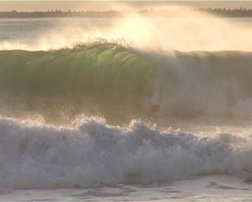 Alistair Taylor at North Beach